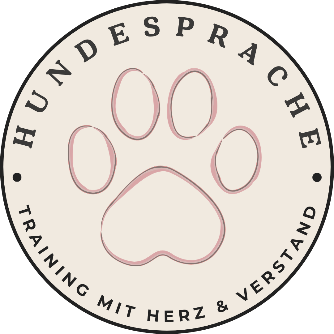 Neu: Gruppenkurse, die moderne Hundeschule für den Alltag